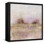 Granulated Amethyst-Maeve Harris-Framed Stretched Canvas