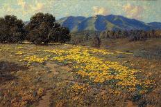 Poppies and Lupines-Granville Redmond-Art Print