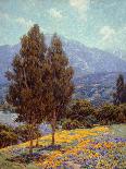 Poppies and Lupines-Granville Redmond-Mounted Art Print