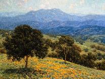 California Poppies-Granville Redmond-Giclee Print