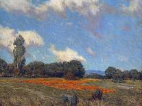 Poppies and Lupines-Granville Redmond-Art Print