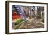 Grape Alley-5fishcreative-Framed Giclee Print