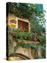 Grape Arbor and Flowers, Lake Garda, Malcesine, Italy-Lisa S^ Engelbrecht-Stretched Canvas