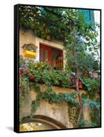 Grape Arbor and Flowers, Lake Garda, Malcesine, Italy-Lisa S^ Engelbrecht-Framed Stretched Canvas