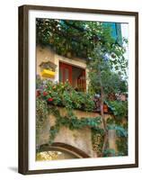 Grape Arbor and Flowers, Lake Garda, Malcesine, Italy-Lisa S^ Engelbrecht-Framed Premium Photographic Print