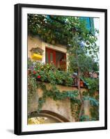 Grape Arbor and Flowers, Lake Garda, Malcesine, Italy-Lisa S^ Engelbrecht-Framed Premium Photographic Print