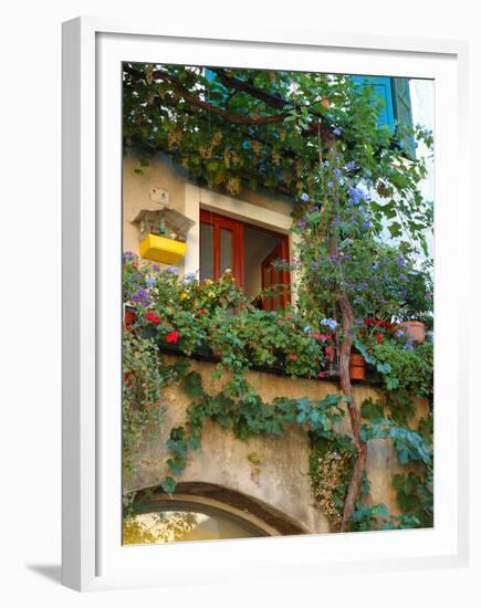 Grape Arbor and Flowers, Lake Garda, Malcesine, Italy-Lisa S^ Engelbrecht-Framed Premium Photographic Print