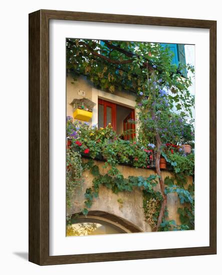 Grape Arbor and Flowers, Lake Garda, Malcesine, Italy-Lisa S^ Engelbrecht-Framed Photographic Print