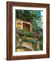 Grape Arbor and Flowers, Lake Garda, Malcesine, Italy-Lisa S^ Engelbrecht-Framed Photographic Print