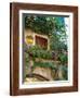Grape Arbor and Flowers, Lake Garda, Malcesine, Italy-Lisa S^ Engelbrecht-Framed Photographic Print