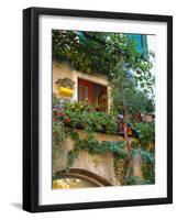 Grape Arbor and Flowers, Lake Garda, Malcesine, Italy-Lisa S^ Engelbrecht-Framed Photographic Print