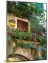 Grape Arbor and Flowers, Lake Garda, Malcesine, Italy-Lisa S^ Engelbrecht-Mounted Photographic Print