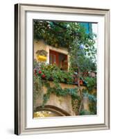 Grape Arbor and Flowers, Lake Garda, Malcesine, Italy-Lisa S^ Engelbrecht-Framed Photographic Print