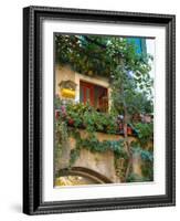 Grape Arbor and Flowers, Lake Garda, Malcesine, Italy-Lisa S^ Engelbrecht-Framed Photographic Print