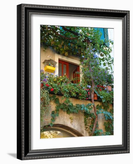 Grape Arbor and Flowers, Lake Garda, Malcesine, Italy-Lisa S^ Engelbrecht-Framed Photographic Print