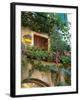 Grape Arbor and Flowers, Lake Garda, Malcesine, Italy-Lisa S^ Engelbrecht-Framed Photographic Print