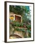 Grape Arbor and Flowers, Lake Garda, Malcesine, Italy-Lisa S^ Engelbrecht-Framed Photographic Print