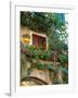 Grape Arbor and Flowers, Lake Garda, Malcesine, Italy-Lisa S^ Engelbrecht-Framed Photographic Print