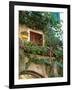 Grape Arbor and Flowers, Lake Garda, Malcesine, Italy-Lisa S^ Engelbrecht-Framed Photographic Print