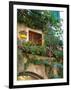 Grape Arbor and Flowers, Lake Garda, Malcesine, Italy-Lisa S^ Engelbrecht-Framed Photographic Print