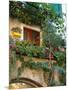Grape Arbor and Flowers, Lake Garda, Malcesine, Italy-Lisa S^ Engelbrecht-Mounted Photographic Print