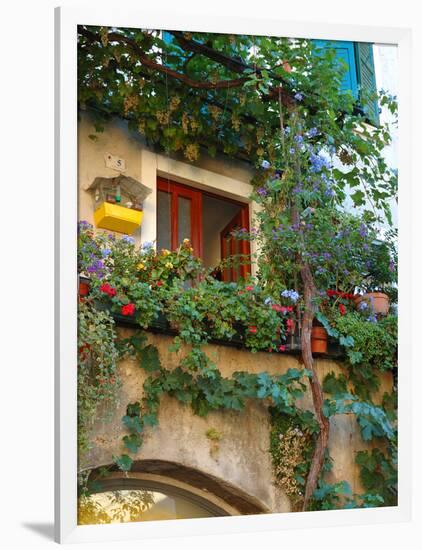 Grape Arbor and Flowers, Lake Garda, Malcesine, Italy-Lisa S^ Engelbrecht-Framed Photographic Print