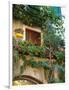 Grape Arbor and Flowers, Lake Garda, Malcesine, Italy-Lisa S^ Engelbrecht-Framed Photographic Print