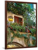 Grape Arbor and Flowers, Lake Garda, Malcesine, Italy-Lisa S^ Engelbrecht-Framed Photographic Print