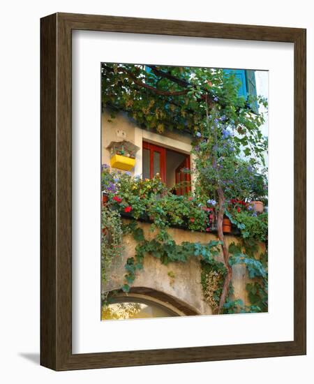 Grape Arbor and Flowers, Lake Garda, Malcesine, Italy-Lisa S^ Engelbrecht-Framed Photographic Print