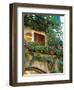 Grape Arbor and Flowers, Lake Garda, Malcesine, Italy-Lisa S^ Engelbrecht-Framed Photographic Print