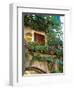 Grape Arbor and Flowers, Lake Garda, Malcesine, Italy-Lisa S^ Engelbrecht-Framed Photographic Print