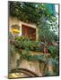 Grape Arbor and Flowers, Lake Garda, Malcesine, Italy-Lisa S^ Engelbrecht-Mounted Photographic Print