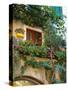 Grape Arbor and Flowers, Lake Garda, Malcesine, Italy-Lisa S^ Engelbrecht-Stretched Canvas