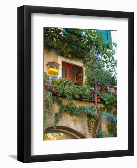 Grape Arbor and Flowers, Lake Garda, Malcesine, Italy-Lisa S^ Engelbrecht-Framed Premium Photographic Print