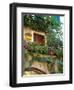 Grape Arbor and Flowers, Lake Garda, Malcesine, Italy-Lisa S^ Engelbrecht-Framed Premium Photographic Print