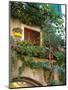 Grape Arbor and Flowers, Lake Garda, Malcesine, Italy-Lisa S^ Engelbrecht-Mounted Premium Photographic Print