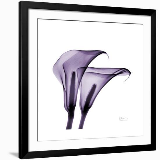 Grape Calla Lilies 2-Albert Koetsier-Framed Premium Giclee Print