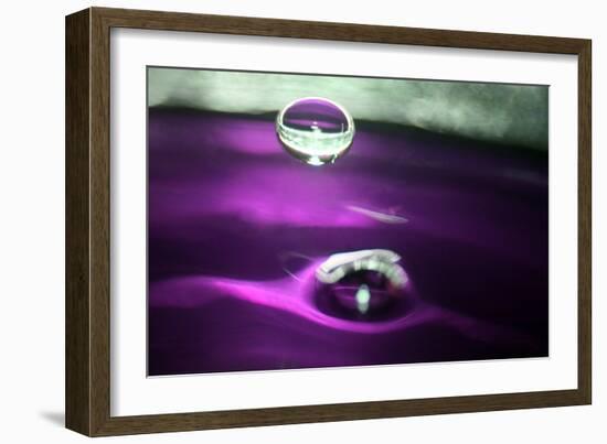 Grape Drink Drop I-Tammy Putman-Framed Photographic Print