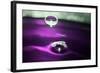 Grape Drink Drop I-Tammy Putman-Framed Photographic Print