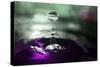 Grape Drink Drop III-Tammy Putman-Stretched Canvas