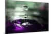 Grape Drink Drop III-Tammy Putman-Mounted Photographic Print