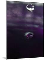 Grape Drink Drop IV-Tammy Putman-Mounted Photographic Print