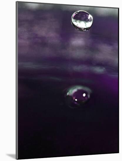 Grape Drink Drop IV-Tammy Putman-Mounted Photographic Print