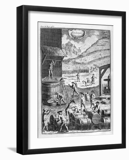 Grape Harvest, 1775-null-Framed Giclee Print