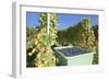 Grape Harvest, Esslingen, Baden Wurttemberg, Germany, Europe-Markus-Framed Photographic Print