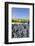 Grape Harvest, Esslingen, Baden Wurttemberg, Germany, Europe-Markus-Framed Photographic Print