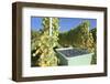 Grape Harvest, Esslingen, Baden Wurttemberg, Germany, Europe-Markus-Framed Photographic Print