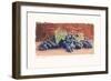 Grape Harvest I-Amy Melious-Framed Art Print