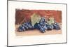 Grape Harvest I-Amy Melious-Mounted Art Print