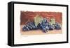 Grape Harvest I-Amy Melious-Framed Stretched Canvas